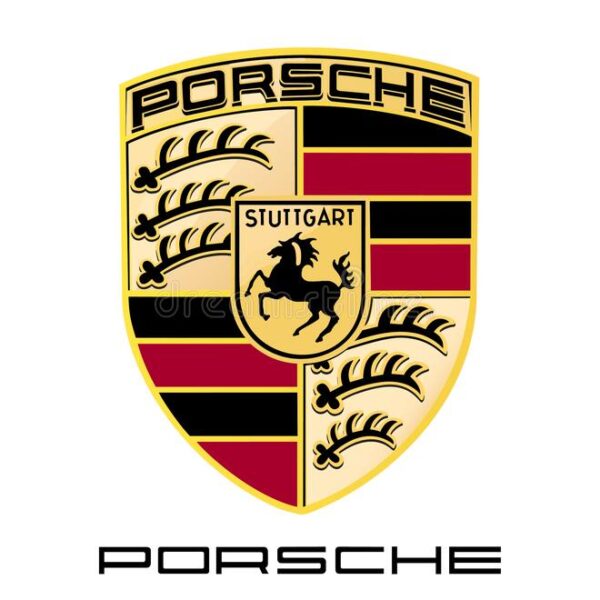 PORSCHE ECU Tune Flash Remap BOXSTER CAYMAN 911 CAYENNE MACAN PANAMERA